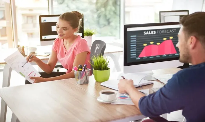 Web Development Services
