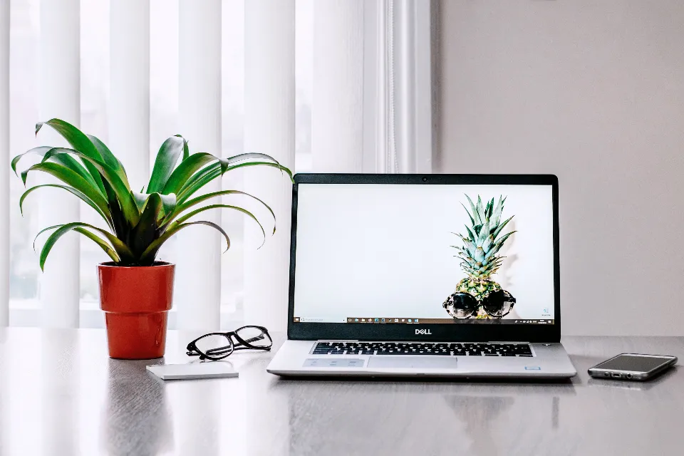Laptop on a clean desk beside a potted plant